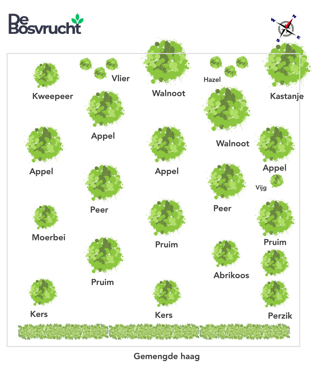 Aanplant plan Aanplant plan