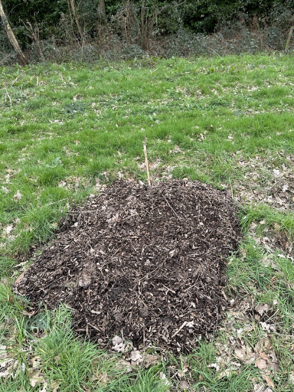 Karton en mulch Karton en mulch