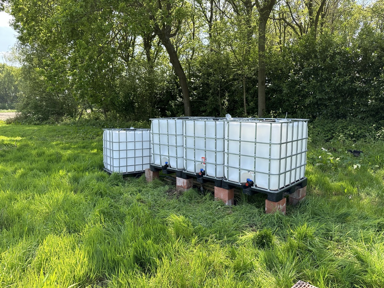 IBC Containers IBC Containers