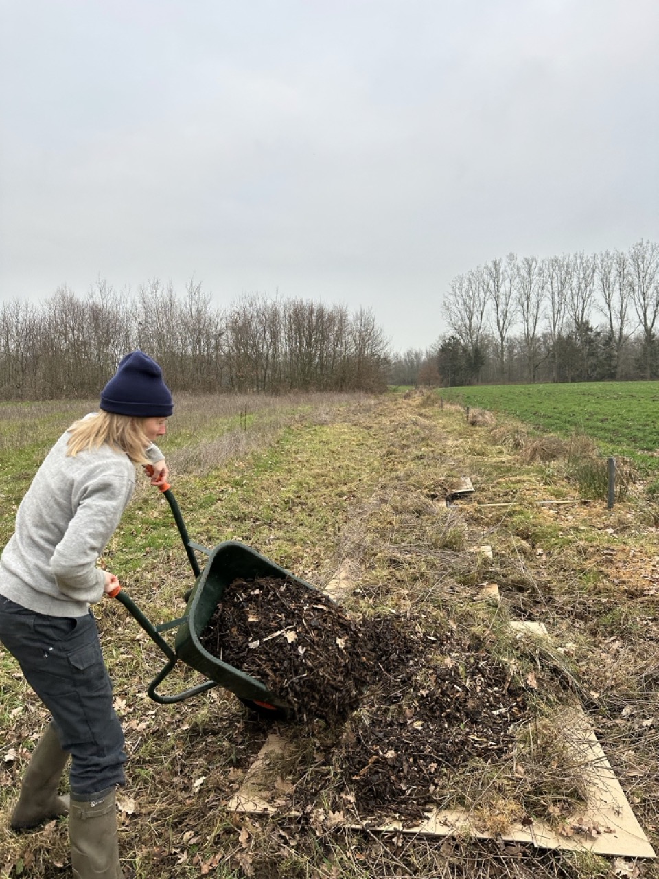 Karton en mulch Karton en mulch