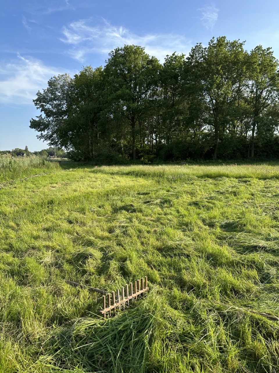 Zelfgemaakte rijf Zelfgemaakte rijf