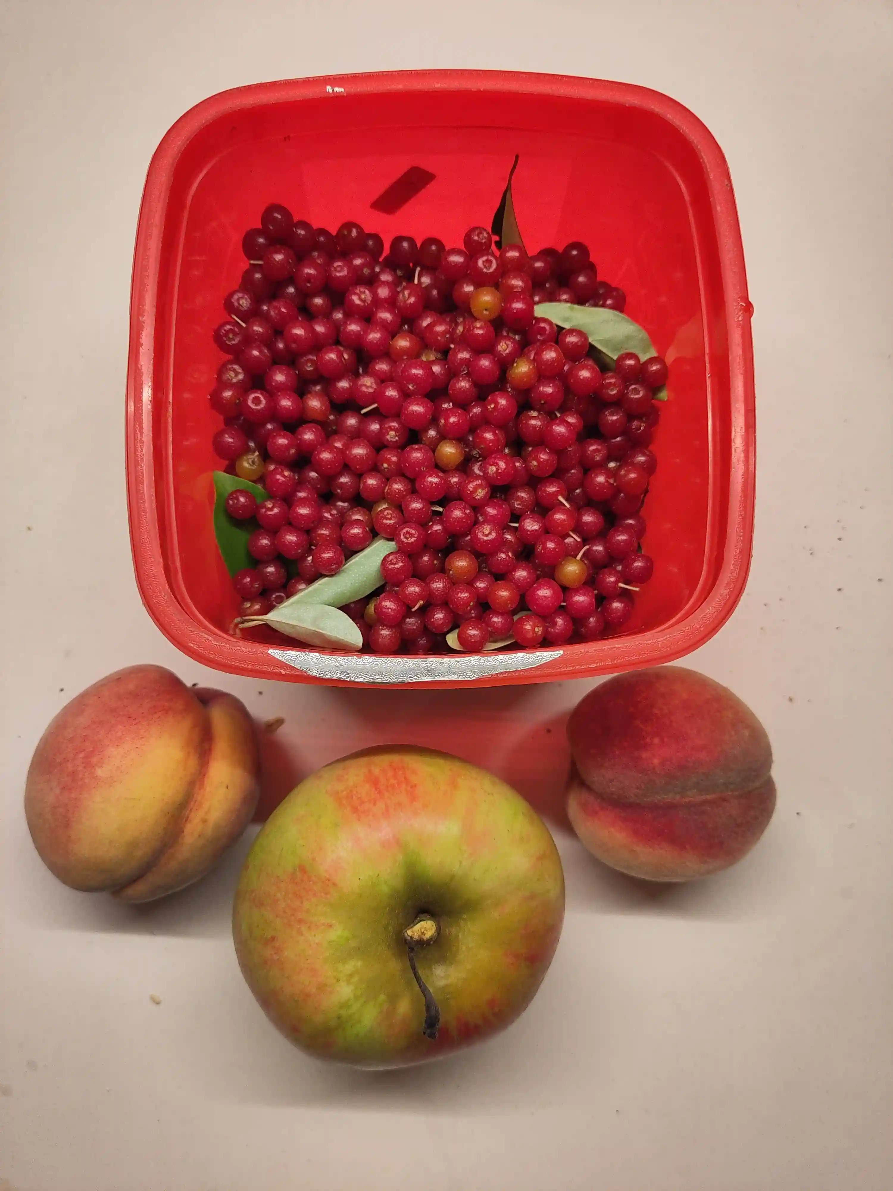 Olijfwilgbessen, twee perzikken en een appel Olijfwilgbessen